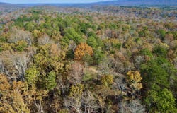 Mimosa Rd, Leeds, AL 35094