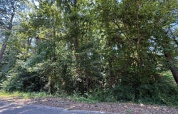 Lot 34 Virginia Dr, Fulton, MS 38843