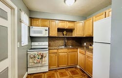 2411 PLUNKETT ST, Hollywood, FL 33020