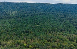 0 VINCENT TRAM ROAD, MIFFLINTOWN, PA 17059