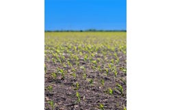 TBD Tract 4 Lund Carlson Rd, Coupland, TX 78615