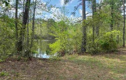 1355 Flat Creek Rd unit: 0, Chattahoochee, FL 32330