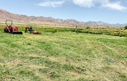 Leamington, UT 84638