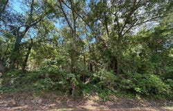 Lot 5, 3+-ac Cty Rd 18, Headland, AL 36345