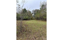 000 Apple Grove Rd, Vredenburgh, AL 36481