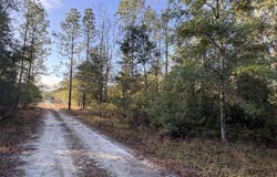 TBD 103RD DRIVE, OBrien, FL 32071