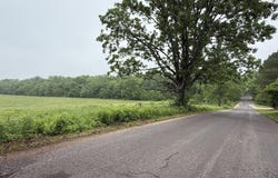 N Jackson Street, Mountain View, MO 65548