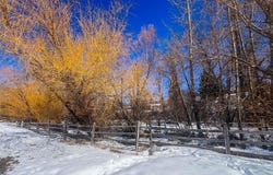 3002 Candy Lane, Bozeman, MT 59715