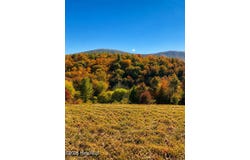 488 Dewitt Road, Glade Valley, NC 28627