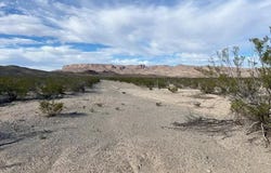 19795 & Reimers Road, Terlingua, TX 79852