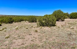 Tbd Co Rd 8269 Lot 150, Concho, AZ 85924