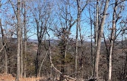 313 MC 4042, Yellville, AR 72687-0000