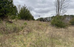 2424 Freshour Hollow Road Road, Parrottsville, TN 37843