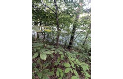 Lot 29 Driftwood Circle, Sevierville, TN 37876