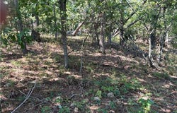 Railroad Cut Road, Rogers, AR 72756