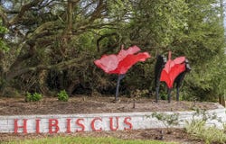 200 Ocean Hibiscus Dr #A201, St Augustine Beach, FL 32080