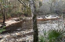 W Osprey Lane, Monticello, FL 32344