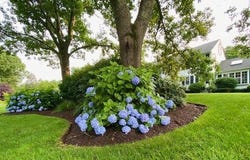 11 Tara Drive, Pembroke, MA 02359