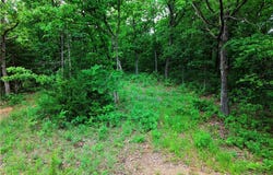 Mohawk Lane, Rocky Mount, MO 65072