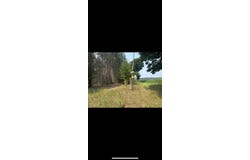 11482 Litzen Road, Copemish, MI 49625