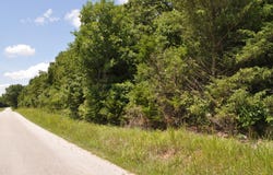 E 517th Road, Halfway, MO 65663