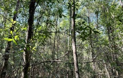 High School Road, Leakesville, MS 39451