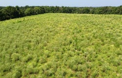 Pleasant Ridge Rd, BIG SANDY, TN 38221