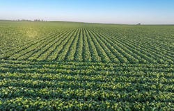 290th Street, Aplington, IA 50604