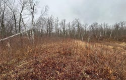 Tbd Fawn Trail NE, Longville, MN 56655