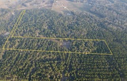 0 Pearce Drive, Richton, MS 39476