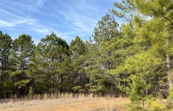 Tract 6 Venus Rd, Gladewater, TX 75647