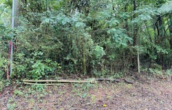 0 Southern Shores, Jackson, GA 30233
