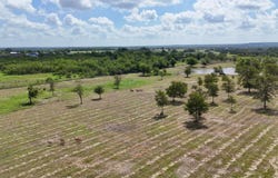 Tbd Watterson Rd, Red Rock, TX 78662