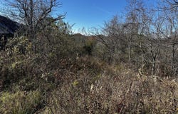Shaddon Road Lot 1, Tellico Plains, TN 37385