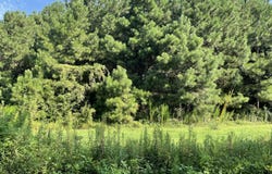 1349 Turnpike Road, Elizabeth City, NC 27909