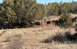 County Rd 4102, Hermleigh, TX 79526