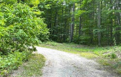 9031 NE County Road 612, Kalkaska, MI 49646