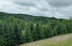 Mcgraw Marathon Road, Marathon, NY 13803