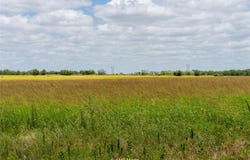 TBD 2 FM 1082, Hawley, TX 79525