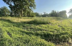 0 Emery Avenue, Bloomfield, IA 52537