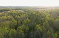 Highway 114, Hollow Rock, TN 38342