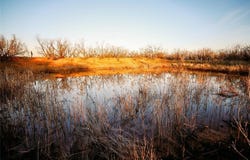 14657 County Road 433, Merkel, TX 79536