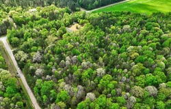 Lot 18 Shady Farms Road, Monticello, GA 31064