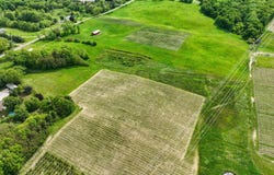 136 E Snow Road, Baroda, MI 49101