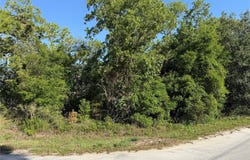 Tbd SE 154TH STREET, SUMMERFIELD, FL 34491