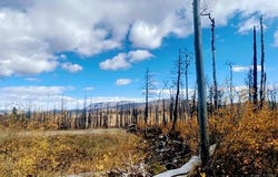 Galbreth Rd, Fort Garland, CO 81133