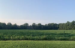 5141 E 300 S Road, Hartford City, IN 47348