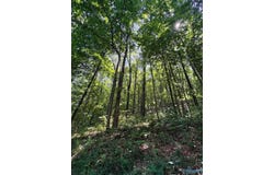 112 Shin Point Road, New Hope, AL 35760