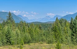 5545 Teakettle Road, Columbia Falls, MT 59912