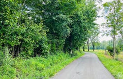 81 Shearer Cemetery Ln, Columbia, KY 42728